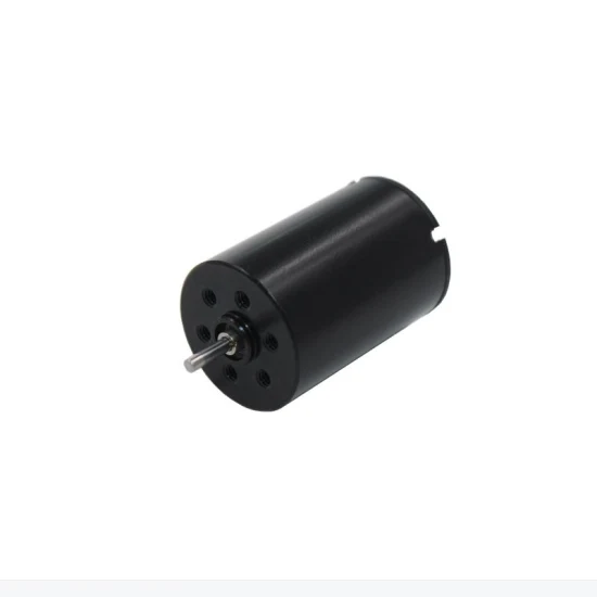 12V Brushed Coreless Motor 17mm Ball Bearing Magnetic DC Motor for Robots Tattoo Pen and Nail Drill