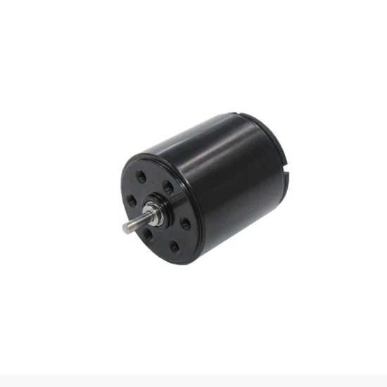 12V 10000rmp High Speed Brushed Permanent Magnet Coreless DC Motor for Tattoo Machine