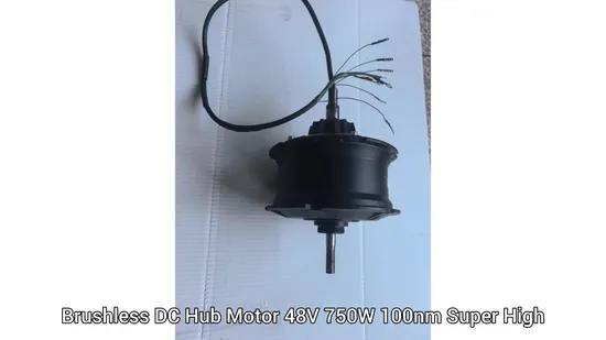 BLDC Motor Hub Motor 48V 750W 100nm Super High Torque Inwheel Hub Motor E