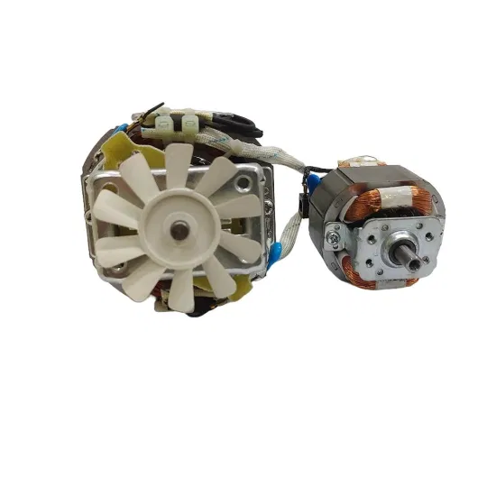 220V Mini DC AC Gear Box BLDC Brushless Brushed Universal Table Fan Hub Electric Vehicle Car Motor for Meat Grinder