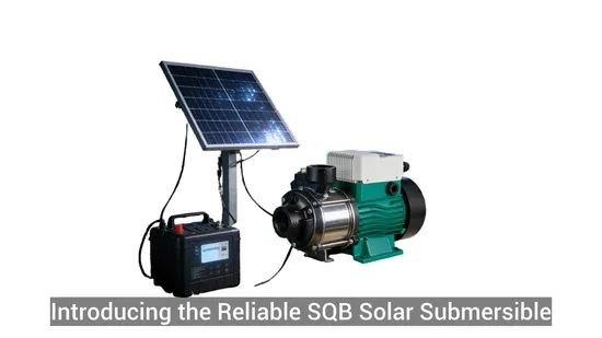 Reliable Sqb Solar Submersible Pump Water Analysis Support DC Booster Pump for Irrigation