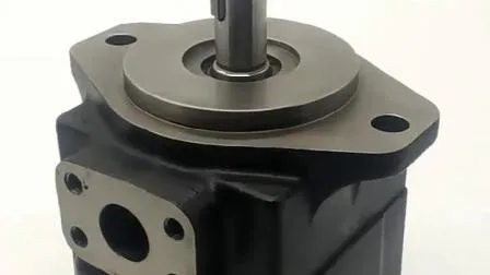 Vane Pump T6c T7b/T6d/T6EDC/T7e/T7DBS T6gcc T6c